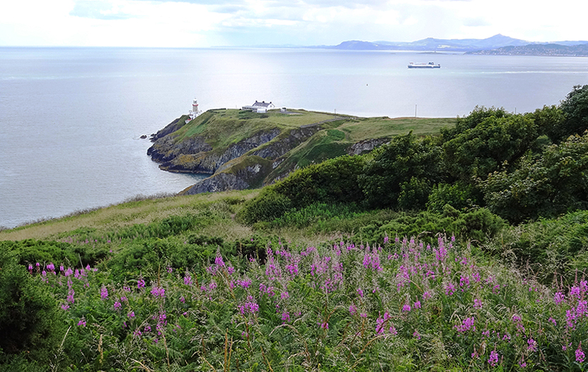 The Baily Lighthouse, one of the centers of interest for visitors drawn in by the path along the Howth cliffs.